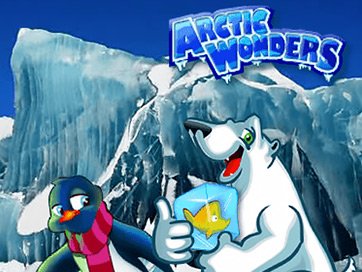Arctic Wonders